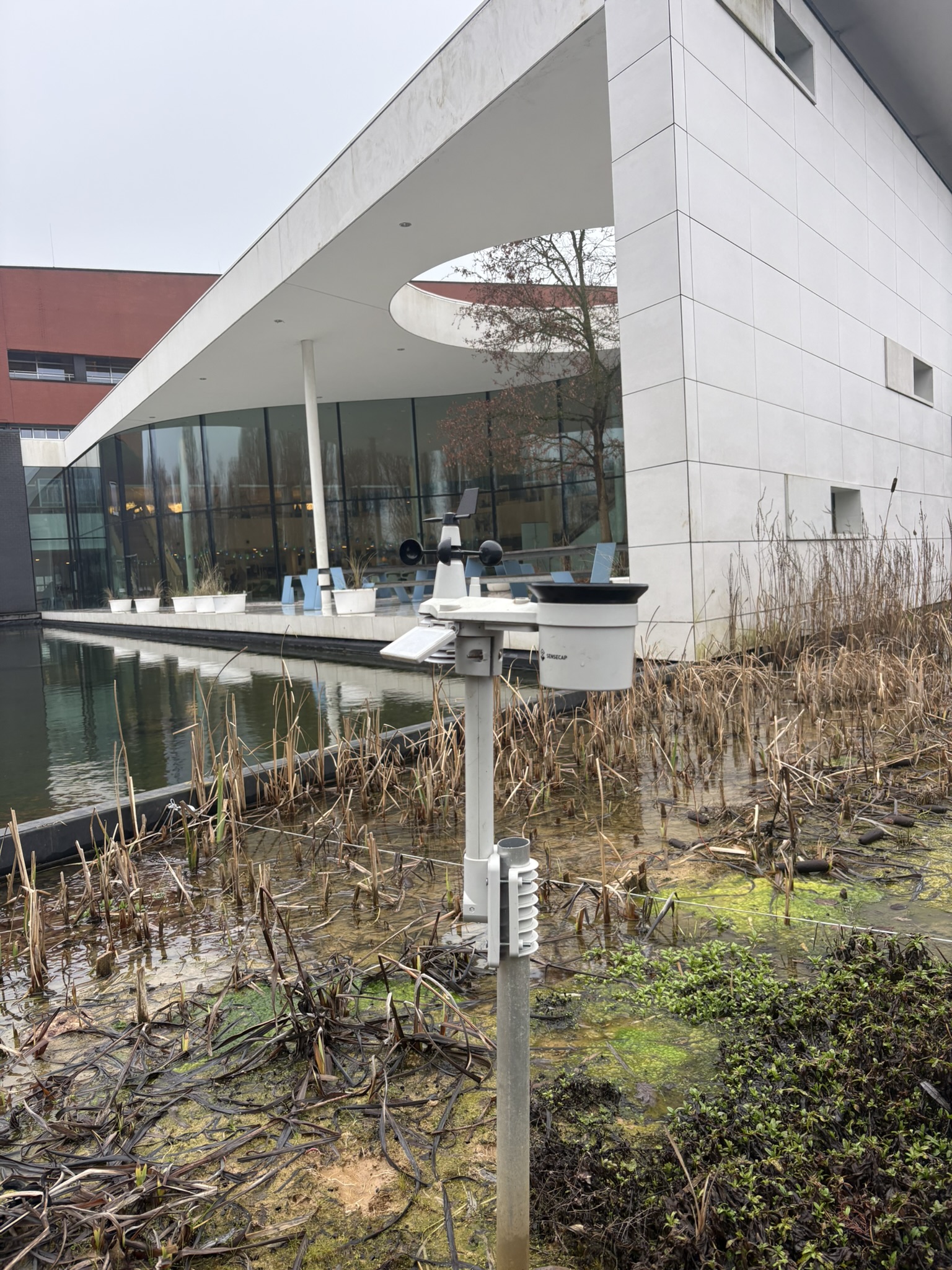 Het weerstation naast de vijver.