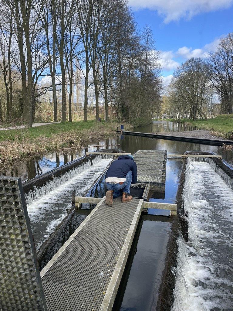 Werk aan de vispassage.