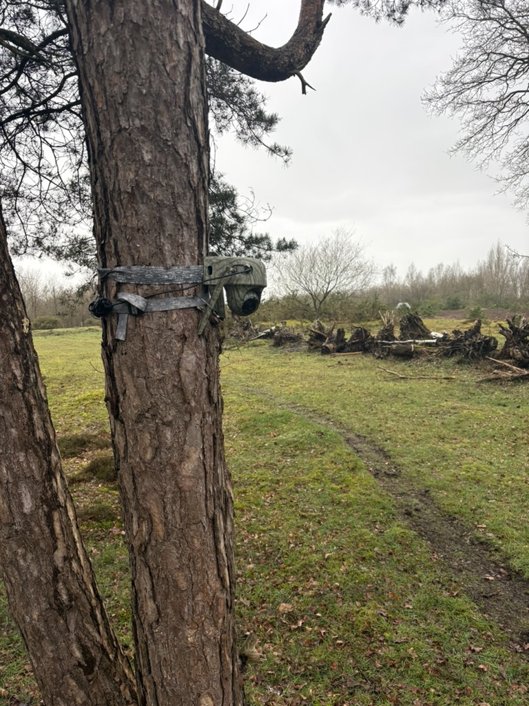 Een camera bevestigd aan een boom.