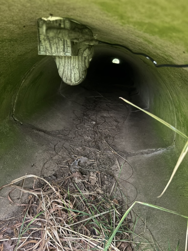 De camera gemonteerd in de faunatunnel.