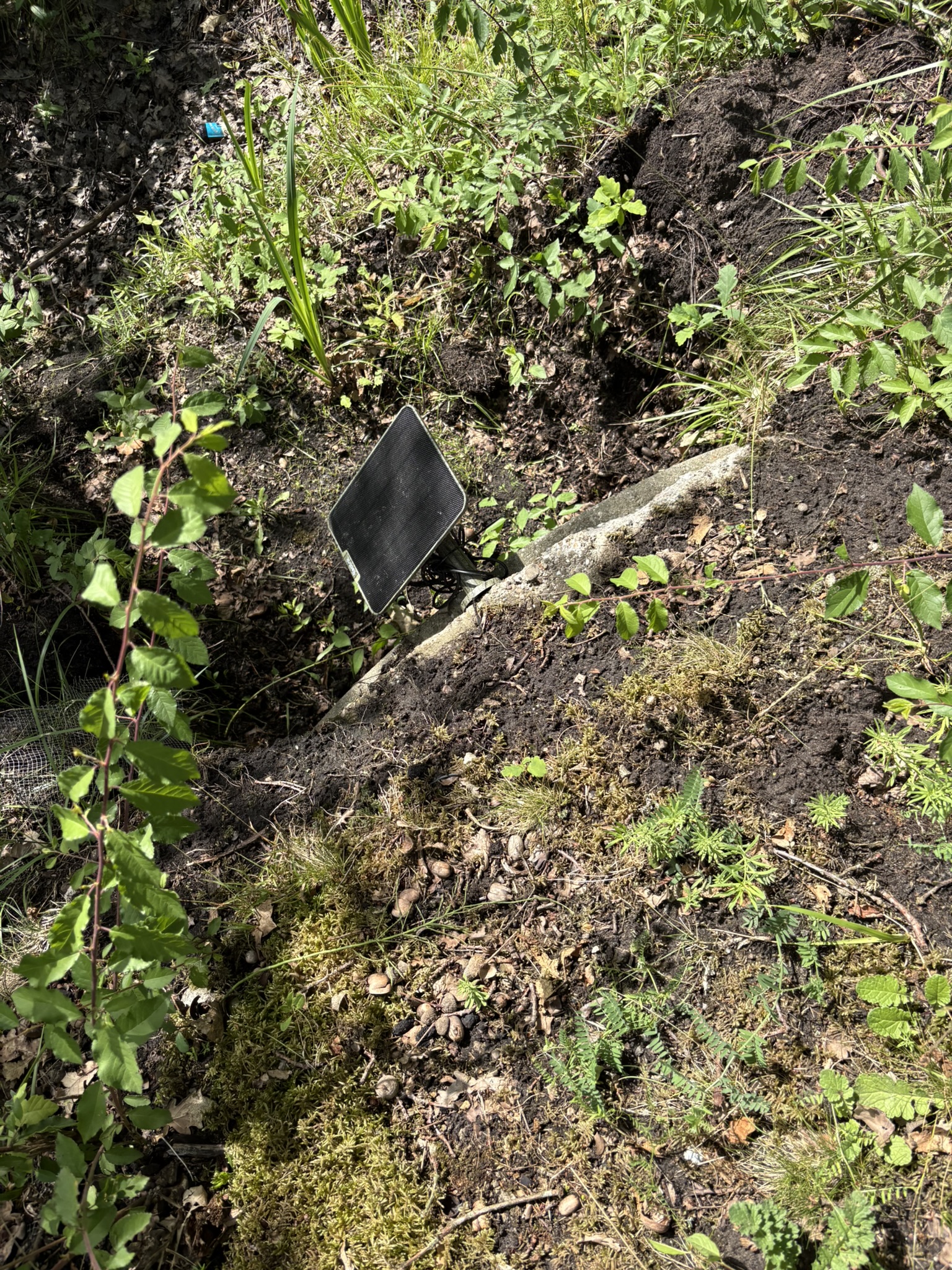 Een zonnepaneel bij de installatie in het veld.